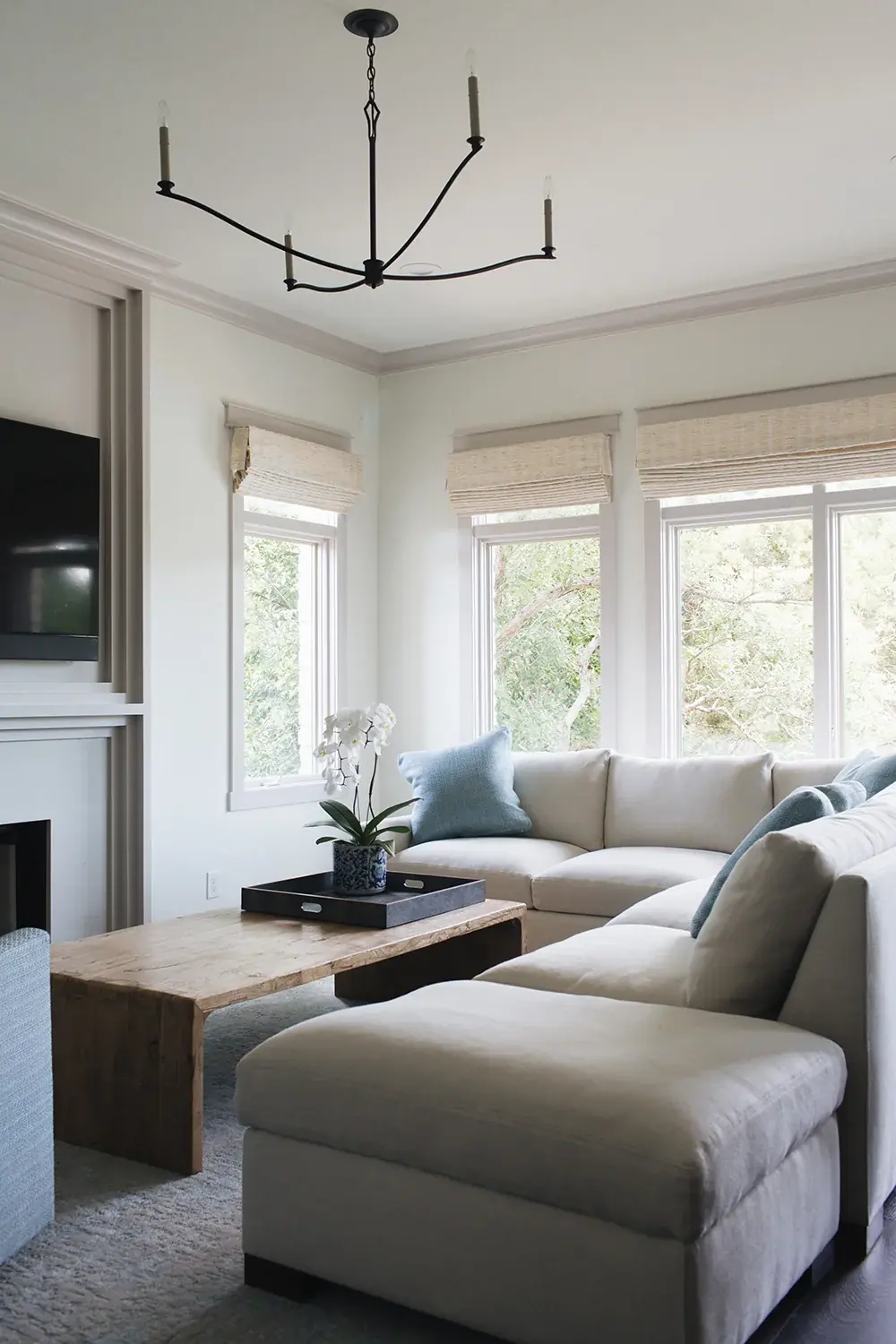 Warbler Lane — Modern interior design project